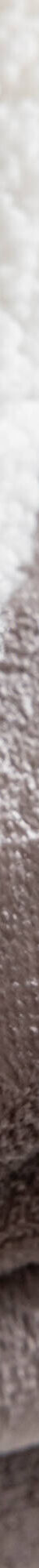 Couverture double face polaire et sherpa (taupe) Couverture double face polaire et sherpa (taupe)